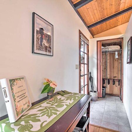 Cozy Volcano Studio With Phenomenal Rainforest Views Mountain View Ngoại thất bức ảnh
