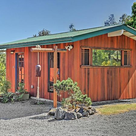 Cozy Volcano Studio With Phenomenal Rainforest Views Mountain View Ngoại thất bức ảnh