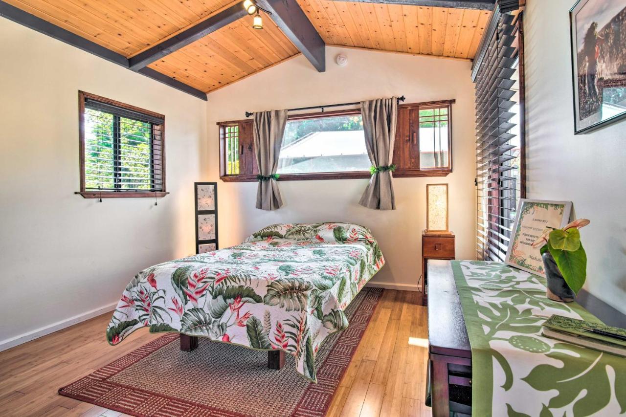 Cozy Volcano Studio With Phenomenal Rainforest Views Mountain View Ngoại thất bức ảnh