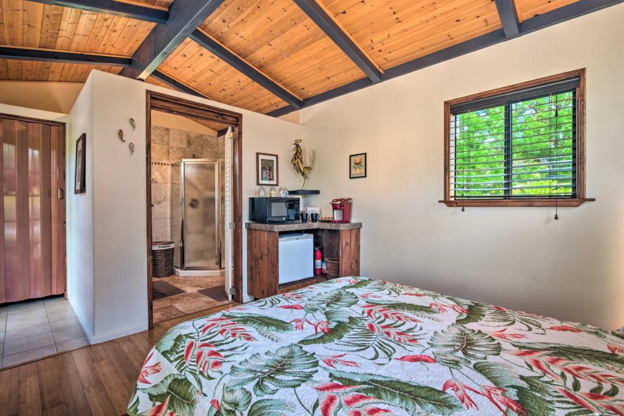 Cozy Volcano Studio With Phenomenal Rainforest Views Mountain View Ngoại thất bức ảnh